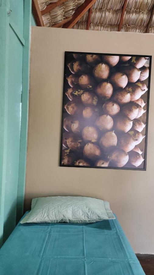 Vereda Tropical Piaui Guest house