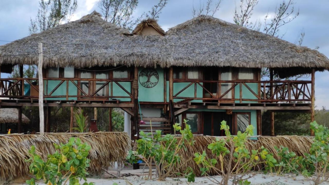 Vereda Tropical Piaui Guest house Luis Correia